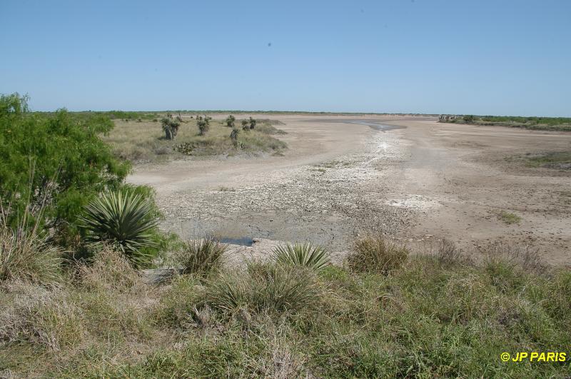 Réserve de la lagune d'Atascosa